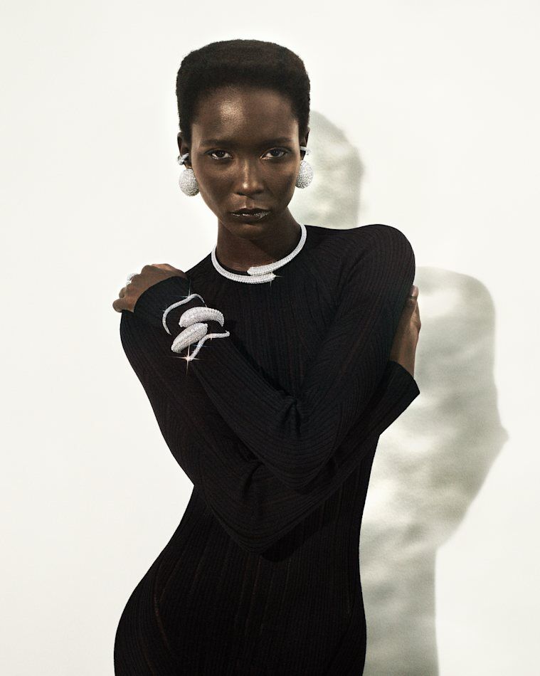 swarovski  swarovski