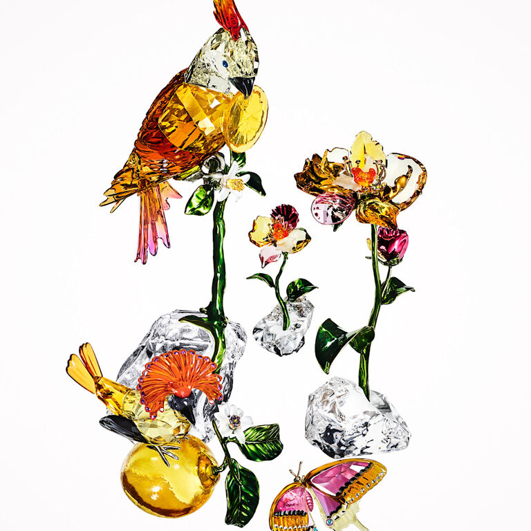 swarovski swarovski