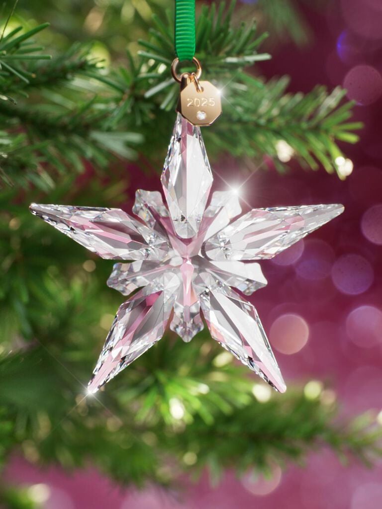 swarovski  swarovski