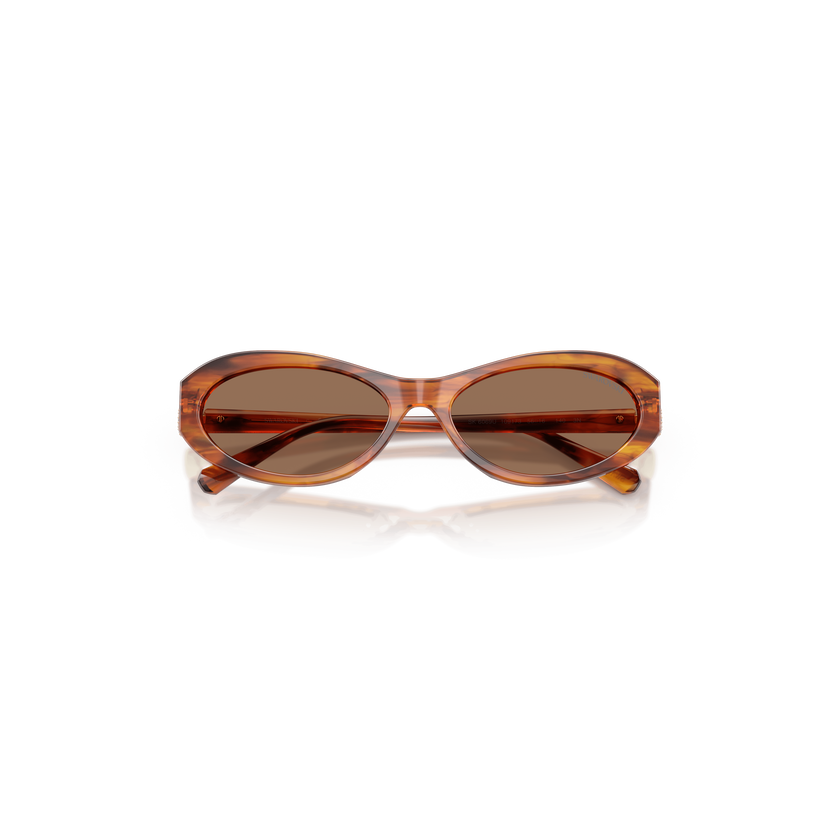 swarovski نظارات شمسية، شكل بيضاوي، sk6069، لون هافانا