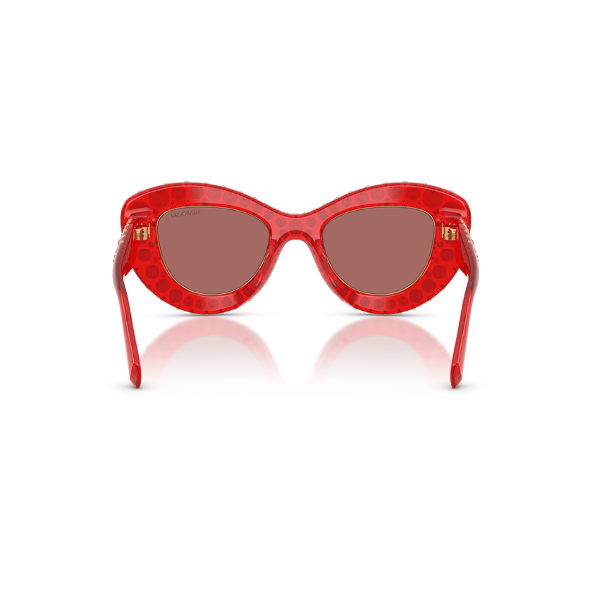 swarovski sunglasses  cat eye shape  sk6060  red