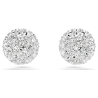 swarovski dextera