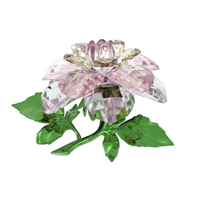 swarovski مجسم زهرة الكاميليا، مجموعة florere