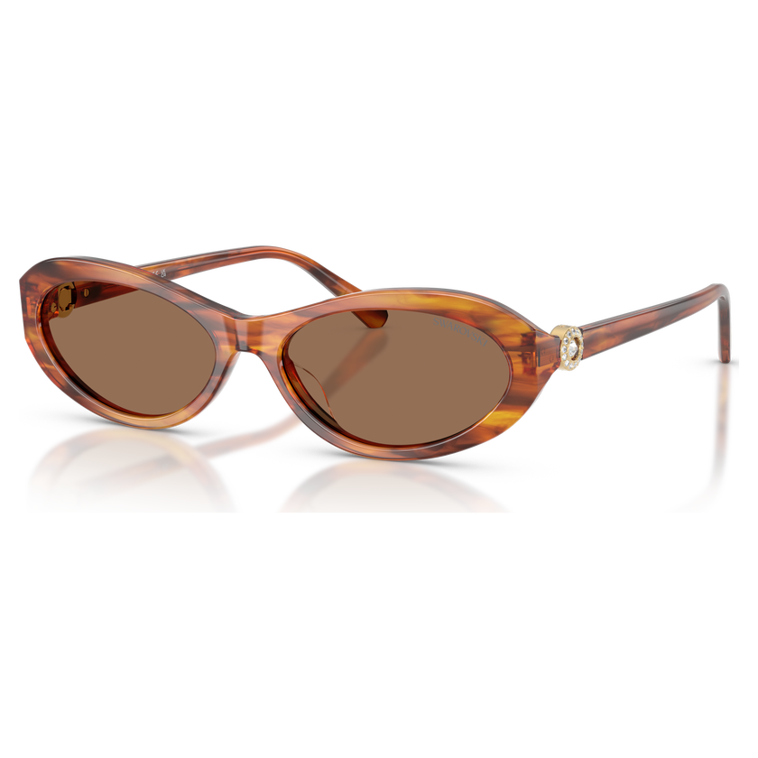 swarovski نظارات شمسية، شكل بيضاوي، sk6069، لون هافانا