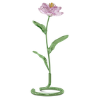 قطعة زينة على شكل زهرة الفاوانيا من مجموعة Florere