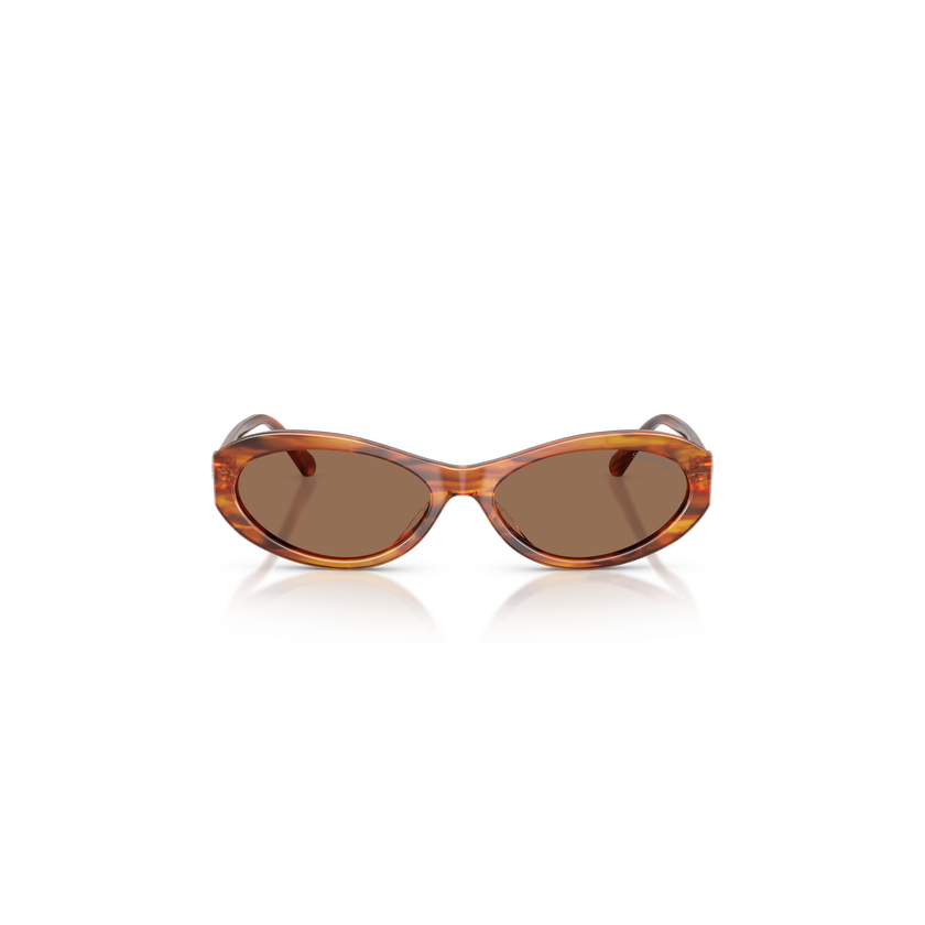 swarovski نظارات شمسية، شكل بيضاوي، sk6069، لون هافانا