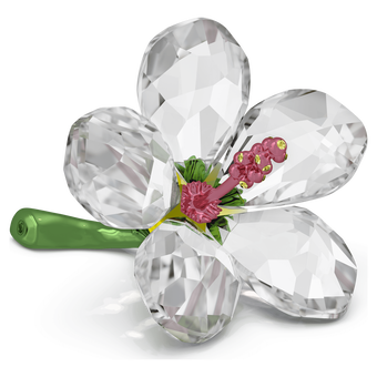 swarovski hibiscus florere