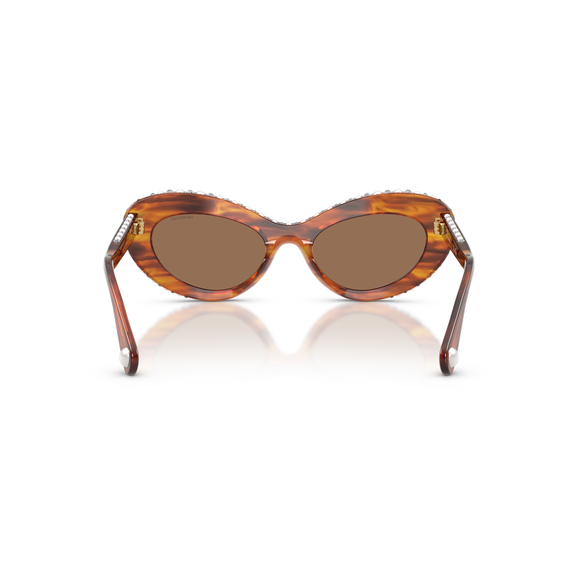 swarovski sunglasses  cat eye shape  sk6061u  brown