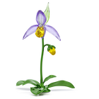 swarovski مجسم زهرة أوركيد حذاء السيدة، مجموعة florere