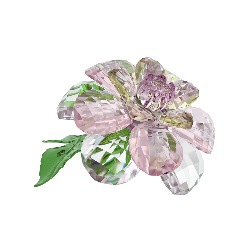 swarovski مجسم زهرة الكاميليا، مجموعة florere