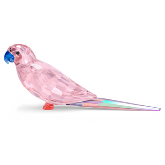 قطعة زينة Cha Cha بتصميم ببغاء الباراكيت من Jungle Beats، لون وردي swarovski قطعة زينة cha cha بتصميم ببغاء الباراكيت من jungle beats، لون وردي